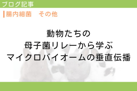動物たちの母子菌リレーから学ぶマイクロバイオームの垂直伝播